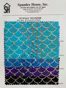 SC-SCALE HOLOGRAM WHOLESALE CARD