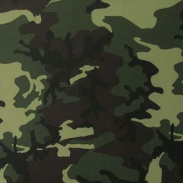 Camouflage /Autumn